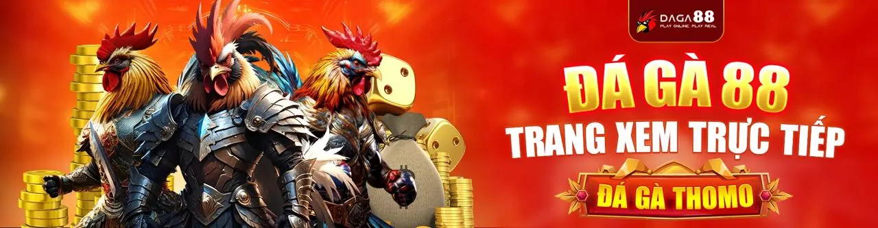 Đá Gà ff168 bet 2026 - Trải nghiệm cá cược đá gà trực tuyến đỉnh cao
